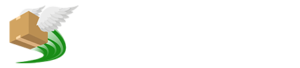 My Smart Courier Logo
